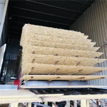 Chine usine panneau osb bois 8mm panneau osb en bois osb en vente